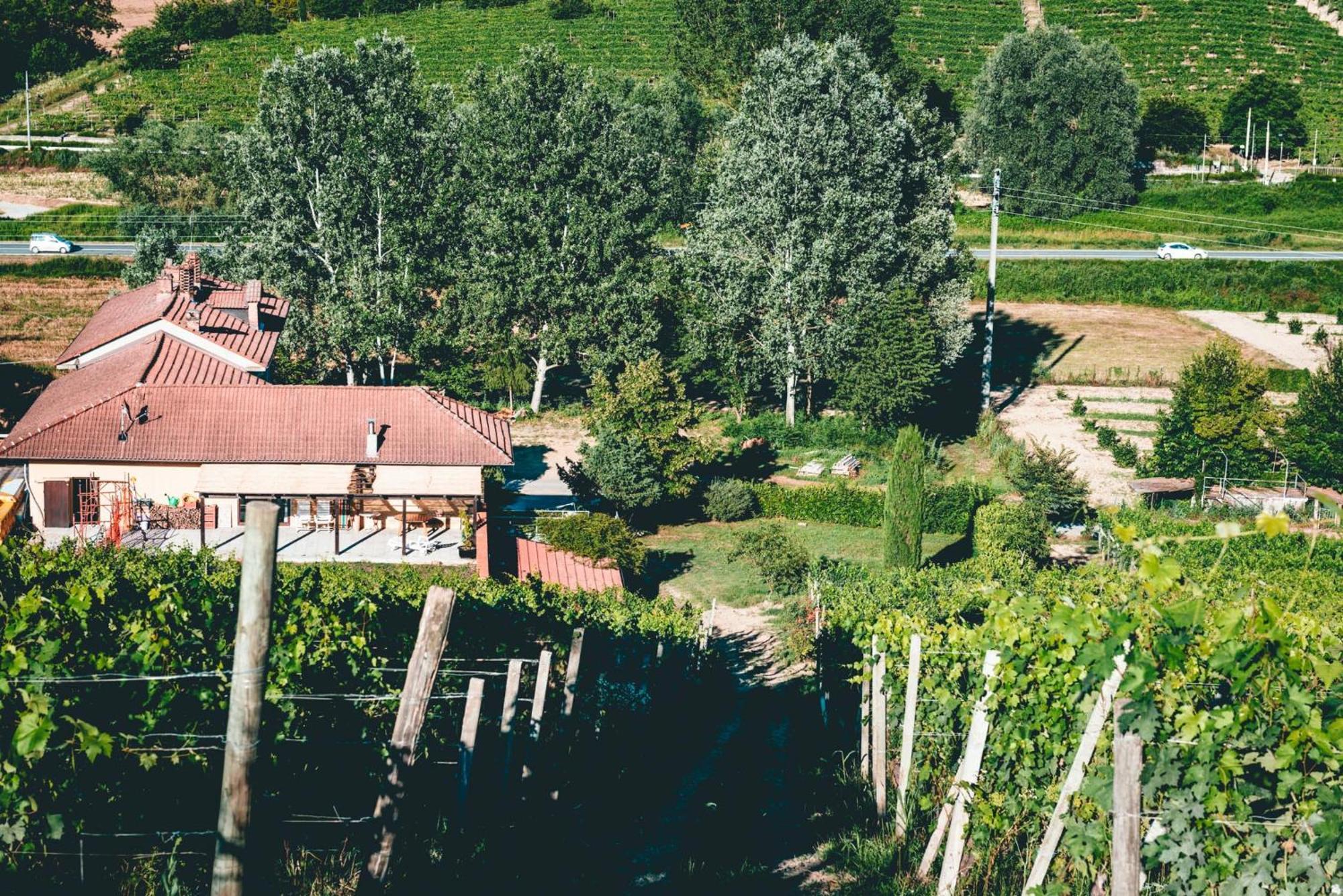 Agriturismo Dacapo Agliano Terme Exteriér fotografie